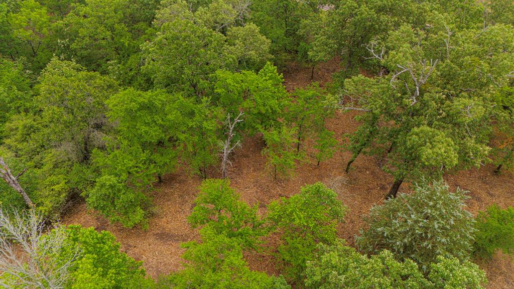 00 TBD Farm To Market  489, Oakwood, Texas image 11