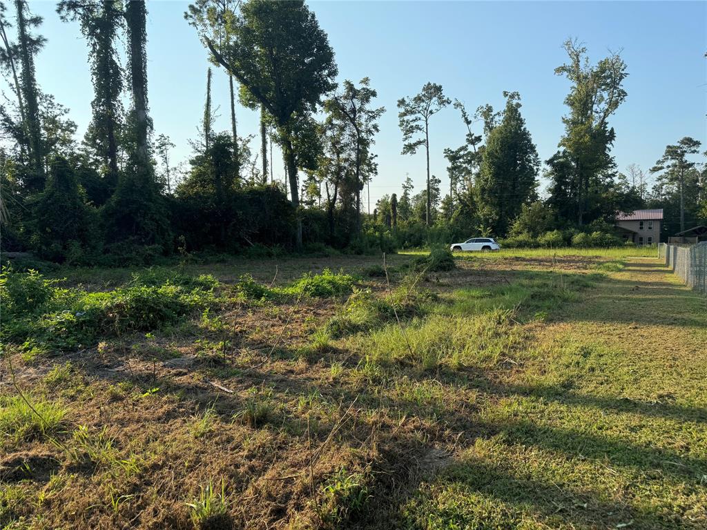 TBD Lot 10 Brahman, Onalaska, Texas image 4