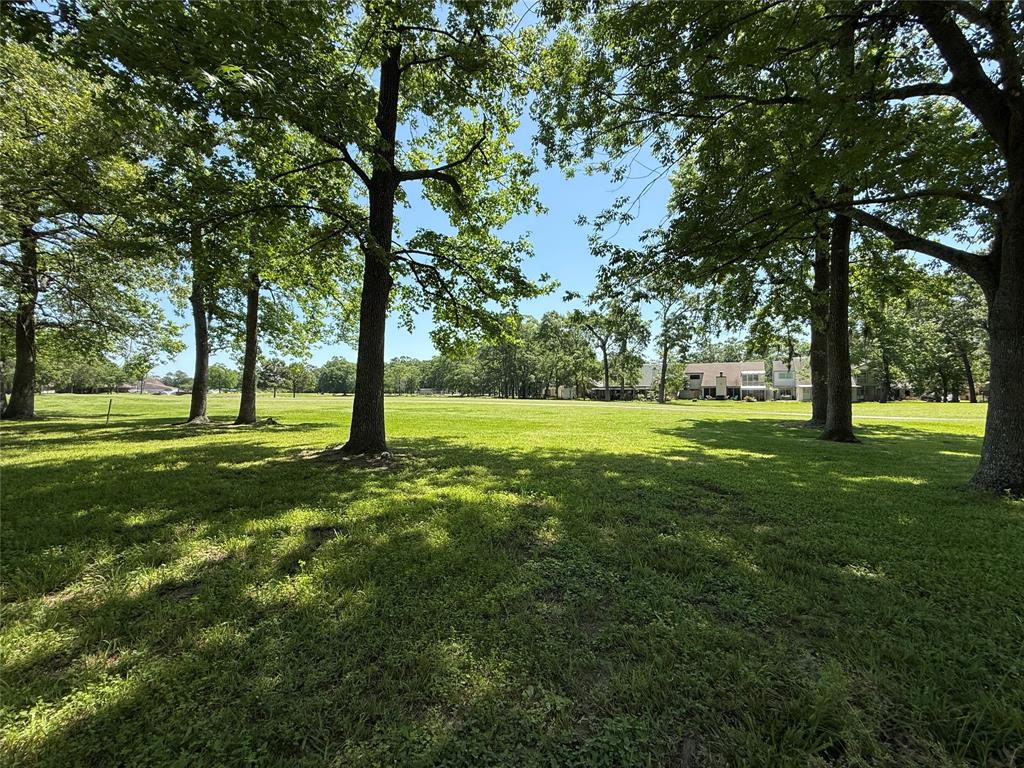 Dunes Drive, Crosby, Texas image 16