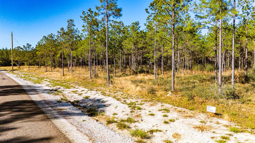 022 Magnolia Ranch Road, Onalaska, Texas image 5