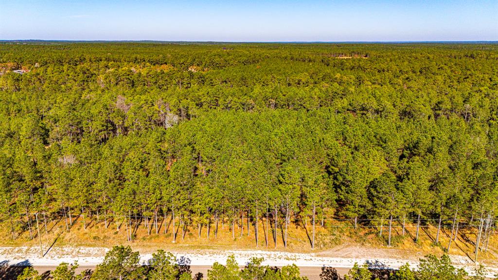 022 Magnolia Ranch Road, Onalaska, Texas image 10