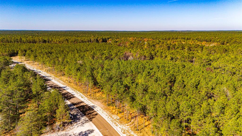 022 Magnolia Ranch Road, Onalaska, Texas image 9