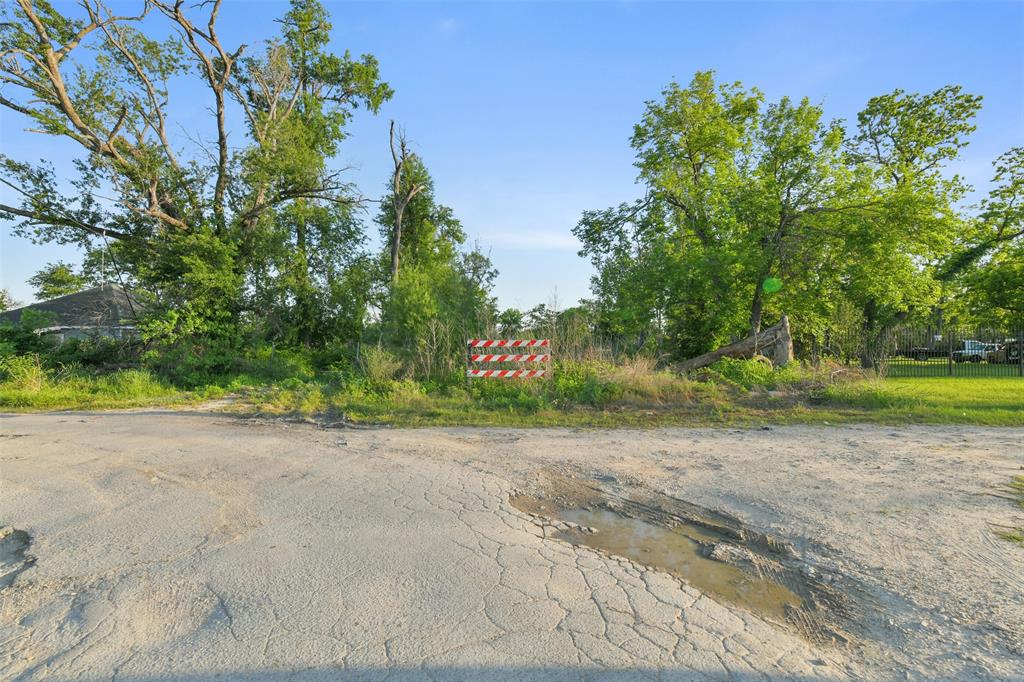 Farnsworth Street, Houston, Texas image 9