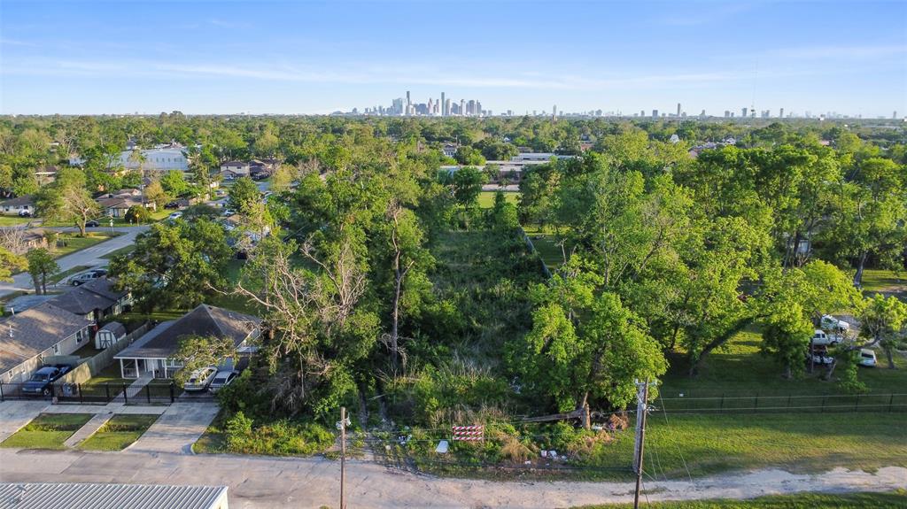 Farnsworth Street, Houston, Texas image 7