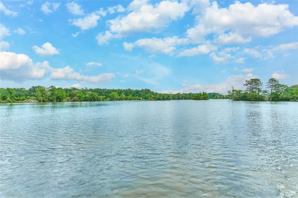 15050 Lake Paula Drive, Willis, Texas image 13