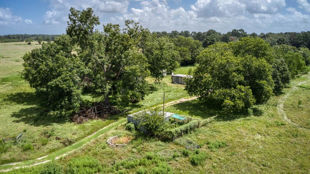 24904 Macedonia Road, Hockley, Texas image 14