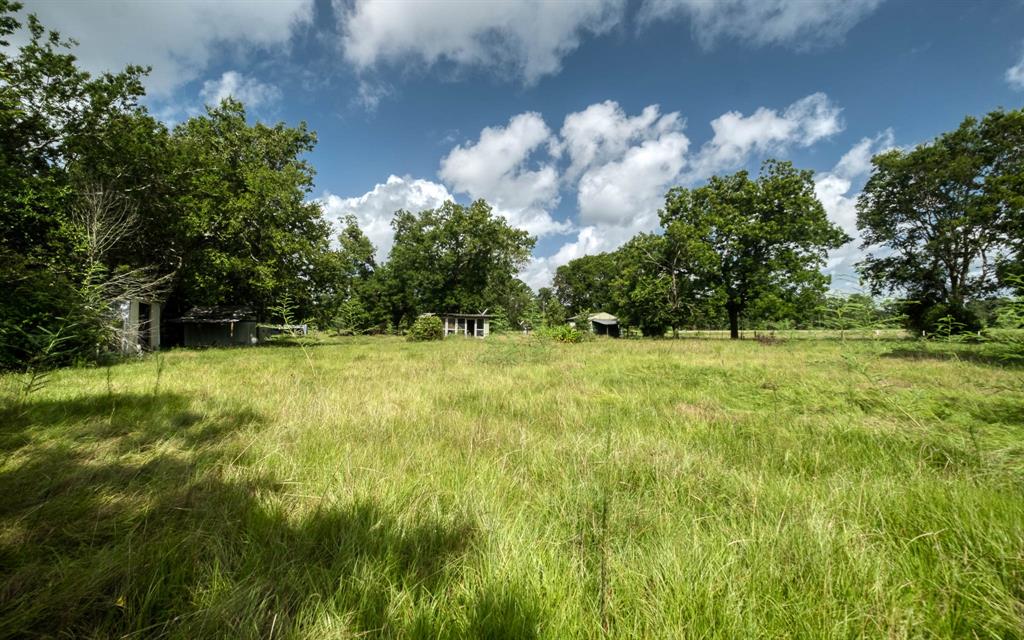 24904 Macedonia Road, Hockley, Texas image 16