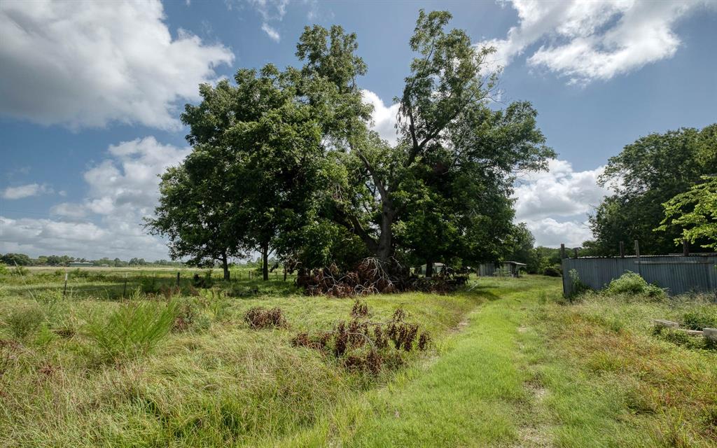 24904 Macedonia Road, Hockley, Texas image 28