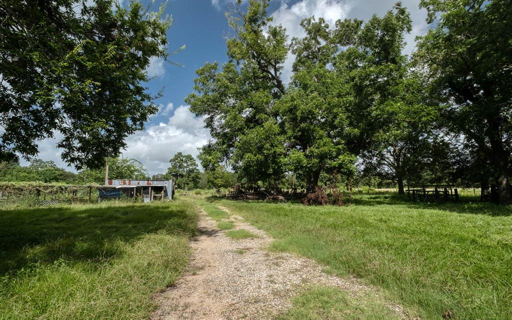 24904 Macedonia Road, Hockley, Texas image 22