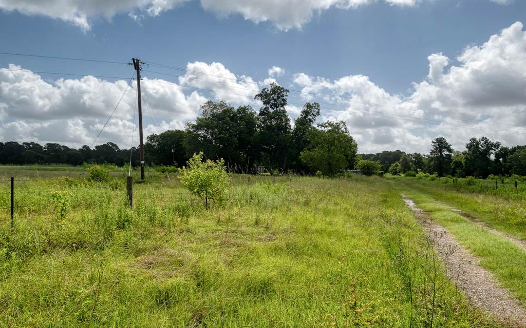 24904 Macedonia Road, Hockley, Texas image 24