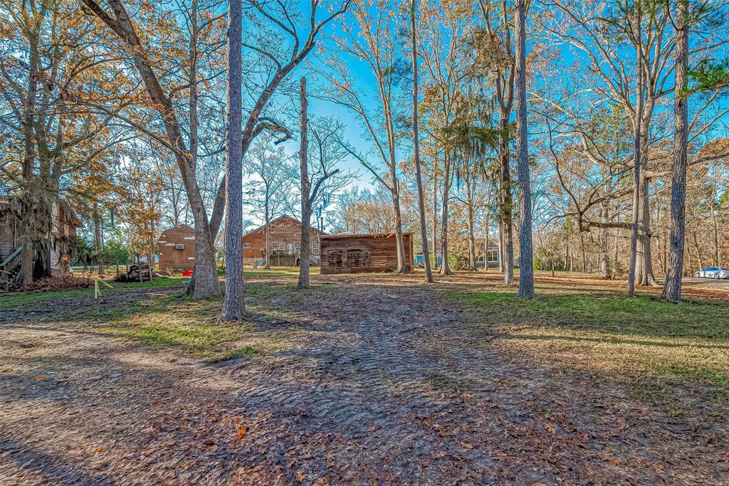 TBD Ash Park Drive, Coldspring, Texas image 8