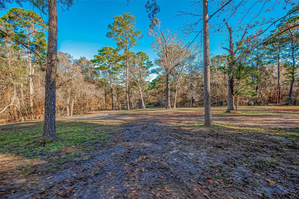 TBD Ash Park Drive, Coldspring, Texas image 7