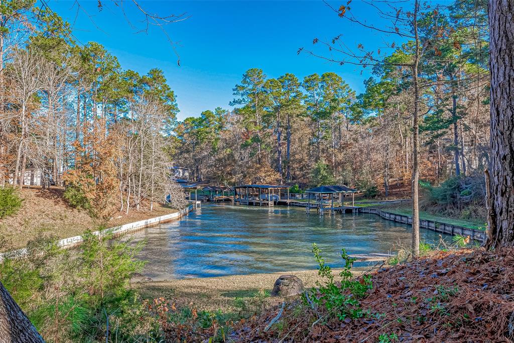 TBD Ash Park Drive, Coldspring, Texas image 15