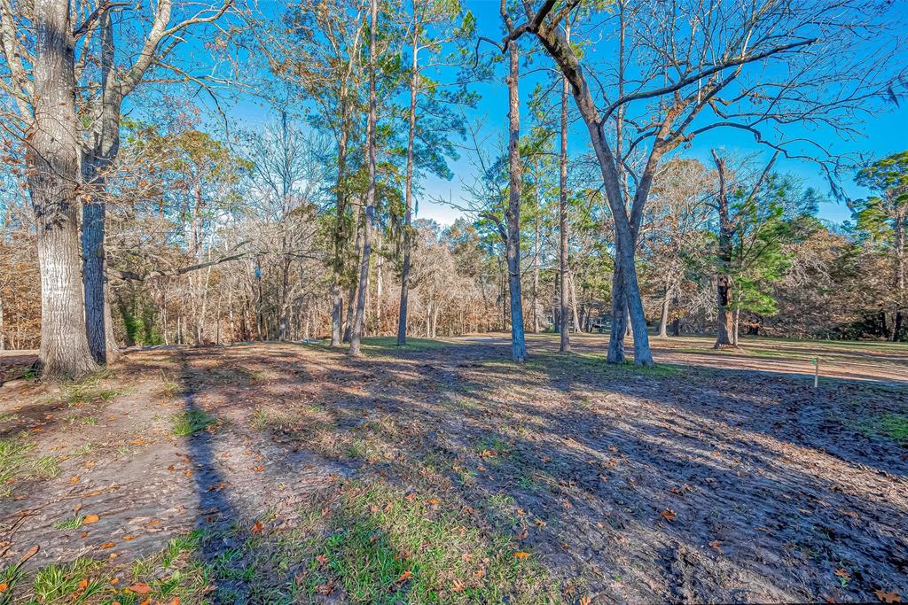 TBD Ash Park Drive, Coldspring, Texas image 4