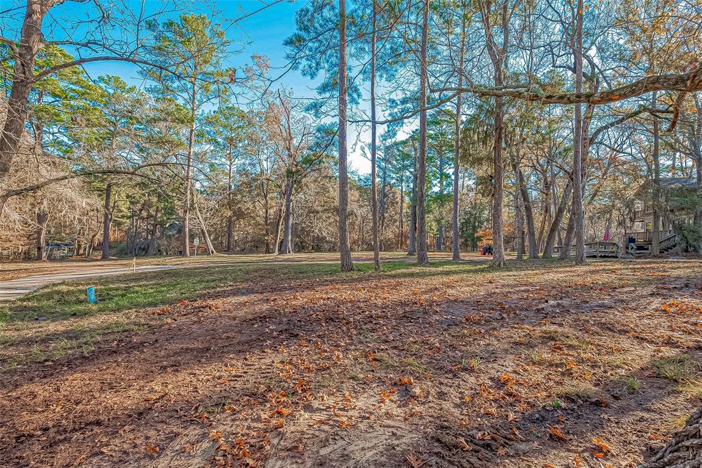 TBD Ash Park Drive, Coldspring, Texas image 2