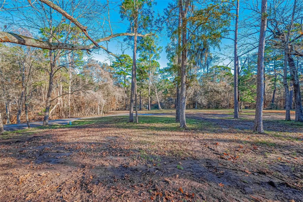 TBD Ash Park Drive, Coldspring, Texas image 3