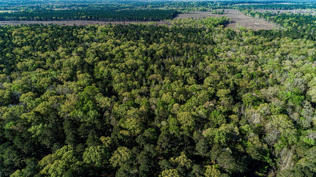 00 Hwy 49, Jefferson, Texas image 14