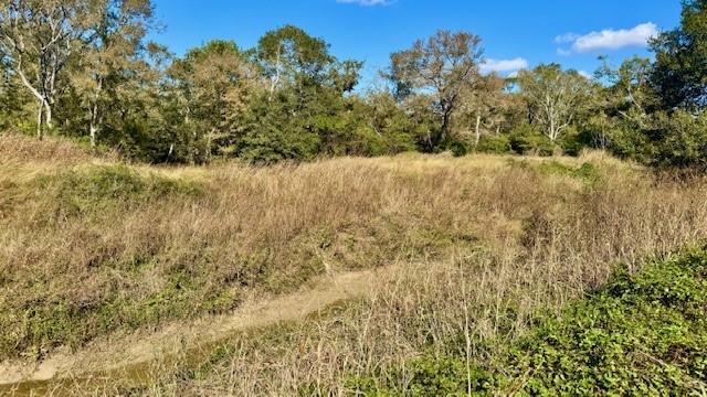 TBD County Road 359, Louise, Texas image 4
