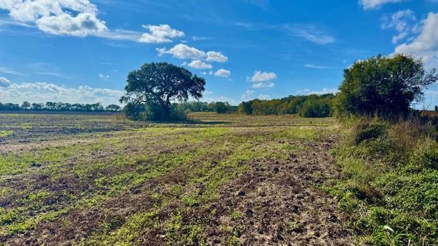 TBD County Road 359, Louise, Texas image 2