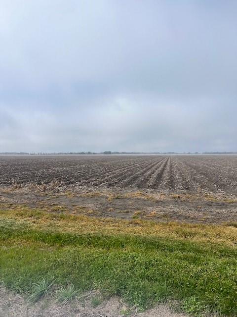 TBD County Road 359, Louise, Texas image 1