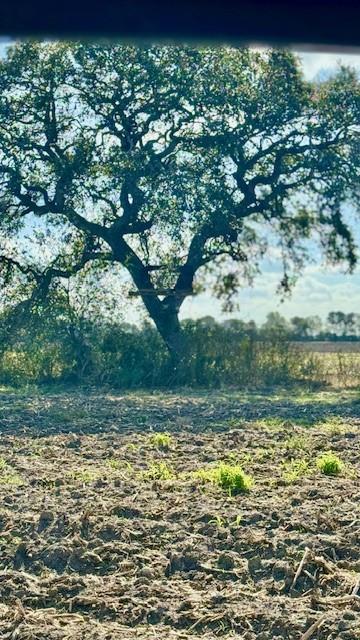 TBD County Road 359, Louise, Texas image 8