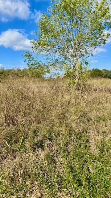 TBD County Road 359, Louise, Texas image 9