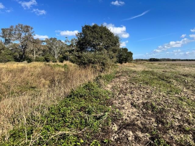 TBD County Road 359, Louise, Texas image 6