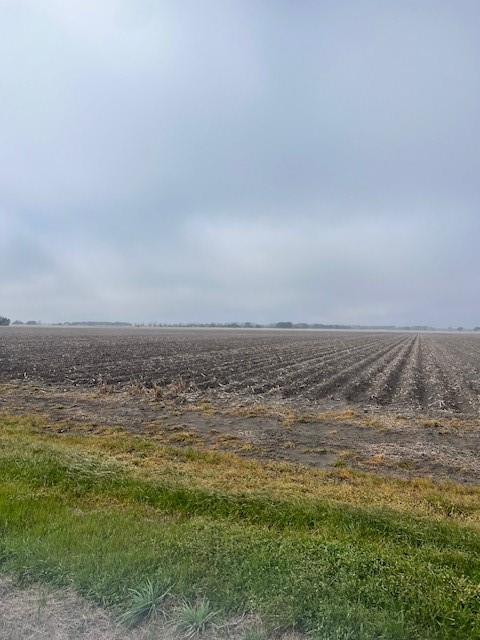 TBD County Road 359, Louise, Texas image 5