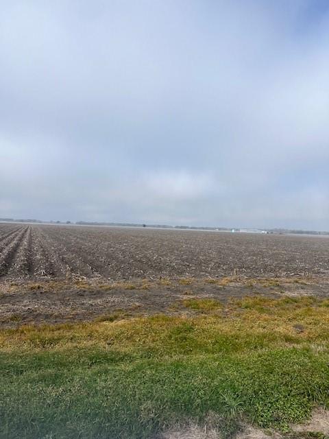 TBD County Road 359, Louise, Texas image 7