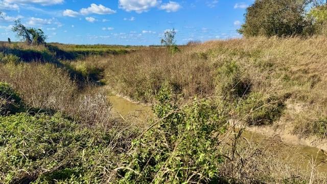 TBD County Road 359, Louise, Texas image 3