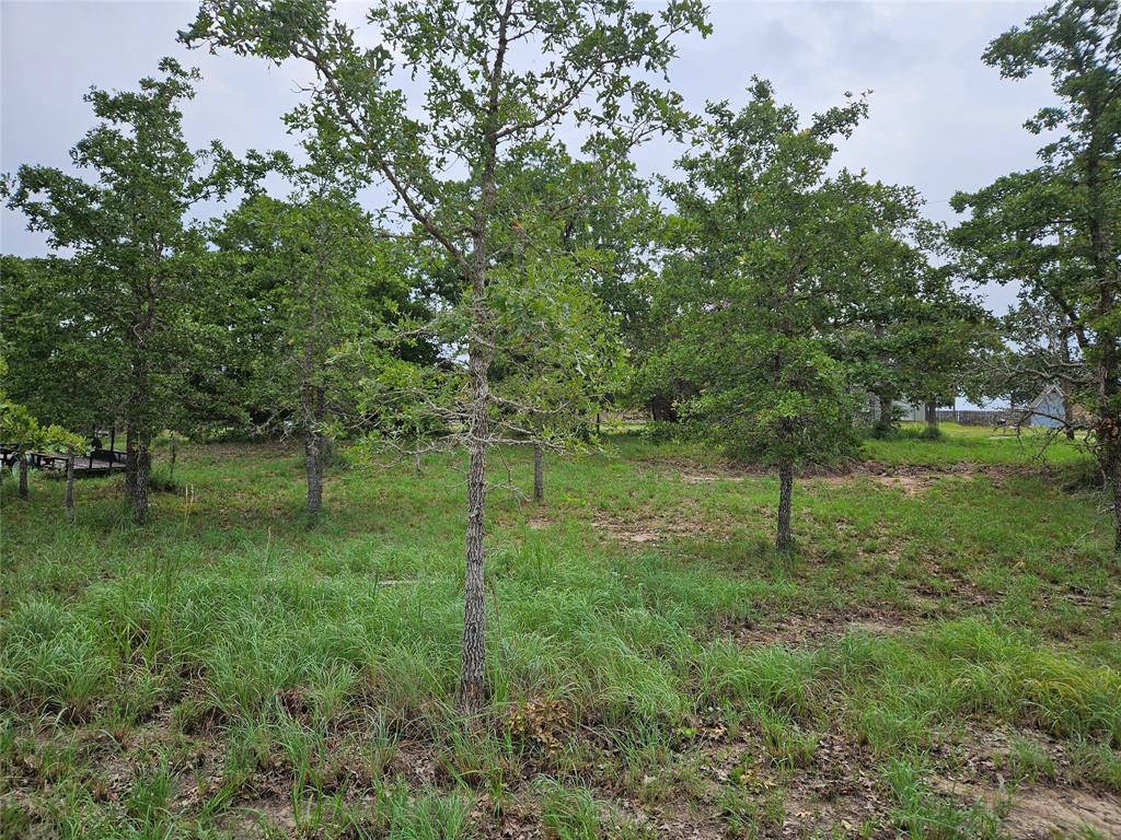 LOT 33 Apache Drive, Somerville, Texas image 1