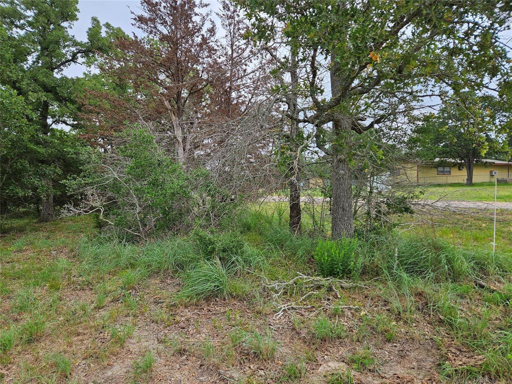 LOT 33 Apache Drive, Somerville, Texas image 4