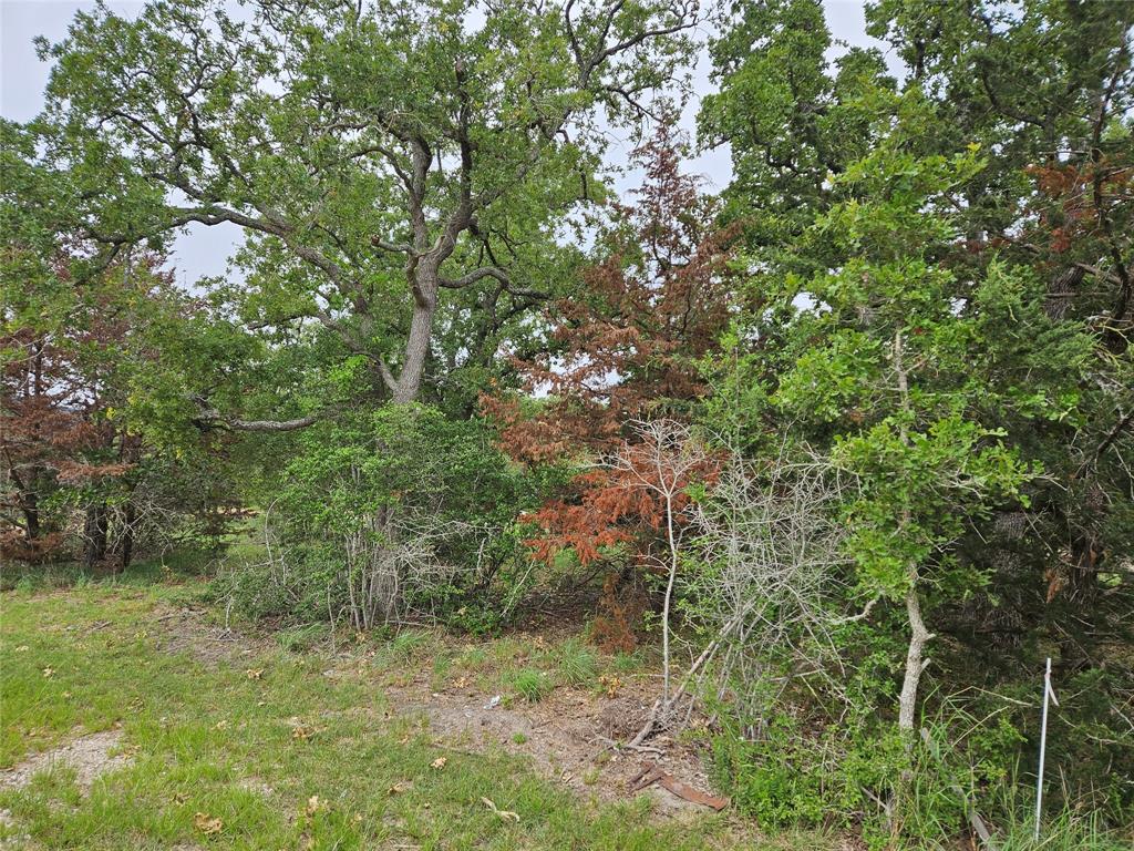 LOT 33 Apache Drive, Somerville, Texas image 5