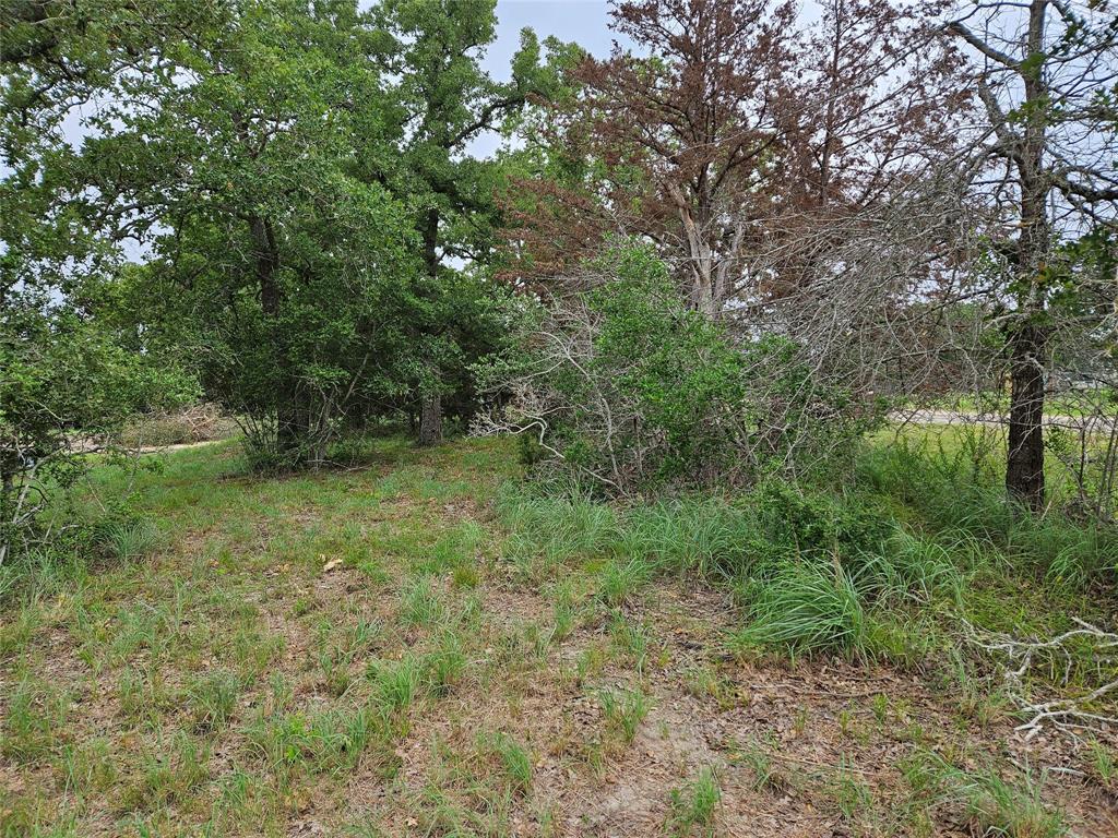 LOT 33 Apache Drive, Somerville, Texas image 3