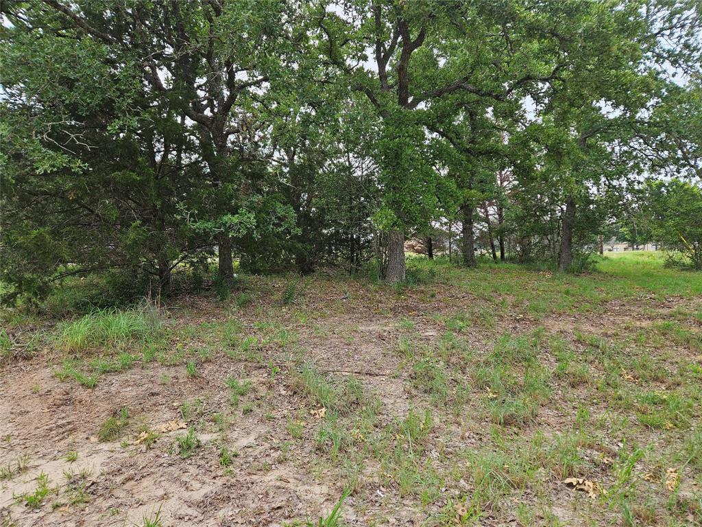 LOT 33 Apache Drive, Somerville, Texas image 6