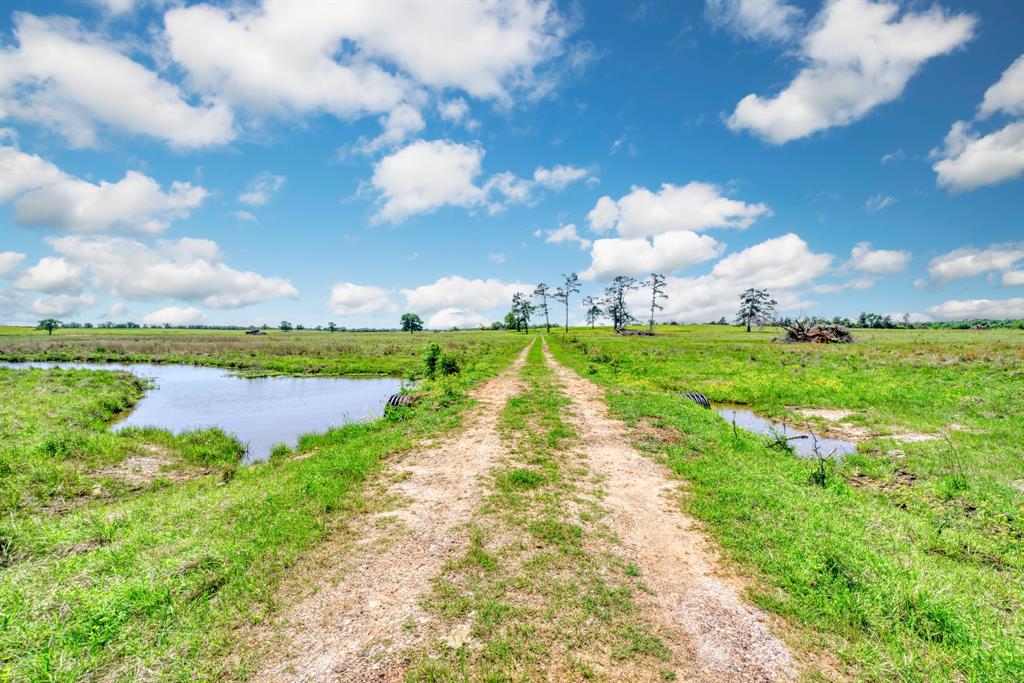 272 AC Farm To Market 977, Leona, Texas image 4