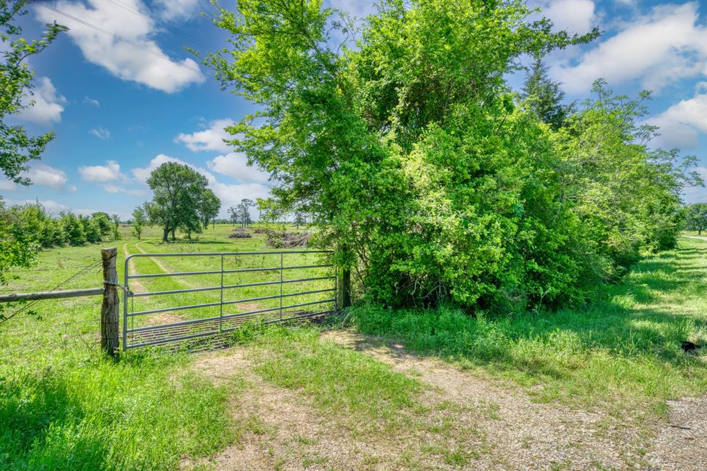 272 AC Farm To Market 977, Leona, Texas image 3