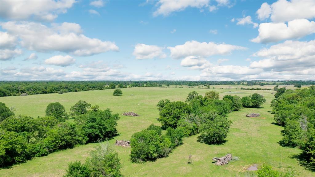 272 AC Farm To Market 977, Leona, Texas image 23