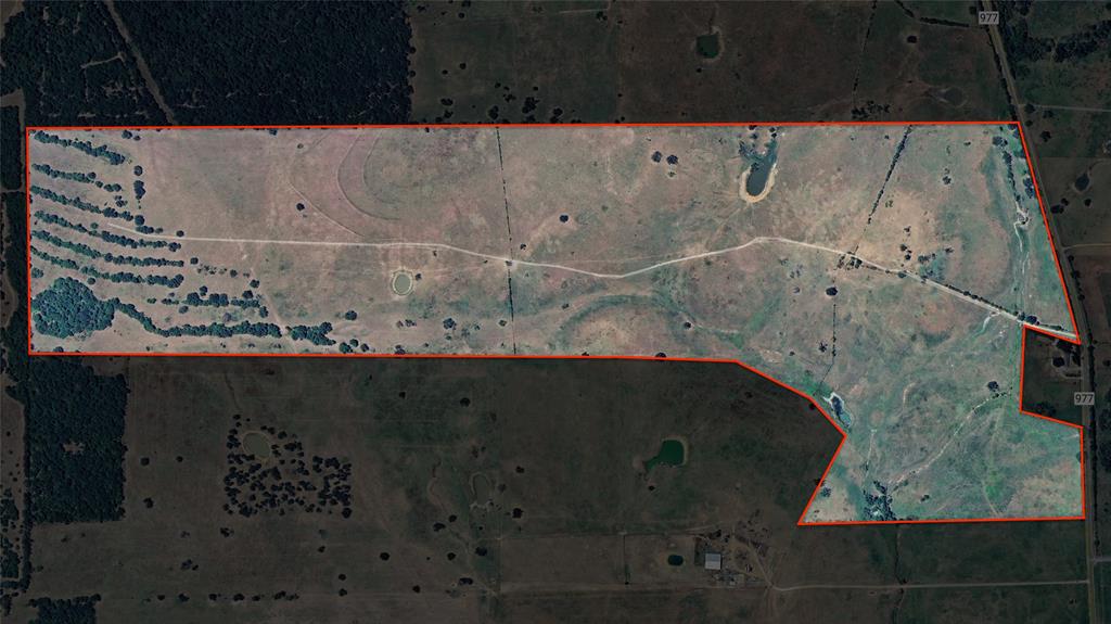 272 AC Farm To Market 977, Leona, Texas image 28