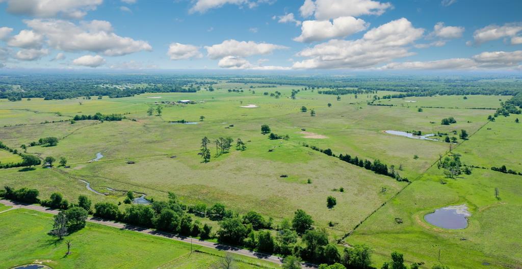 272 AC Farm To Market 977, Leona, Texas image 2