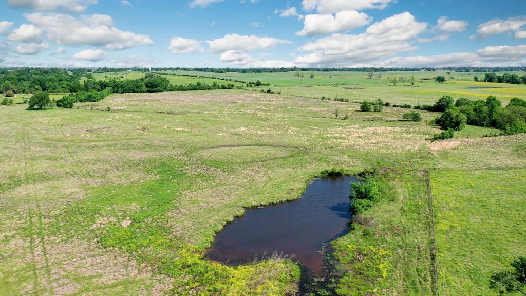 272 AC Farm To Market 977, Leona, Texas image 12