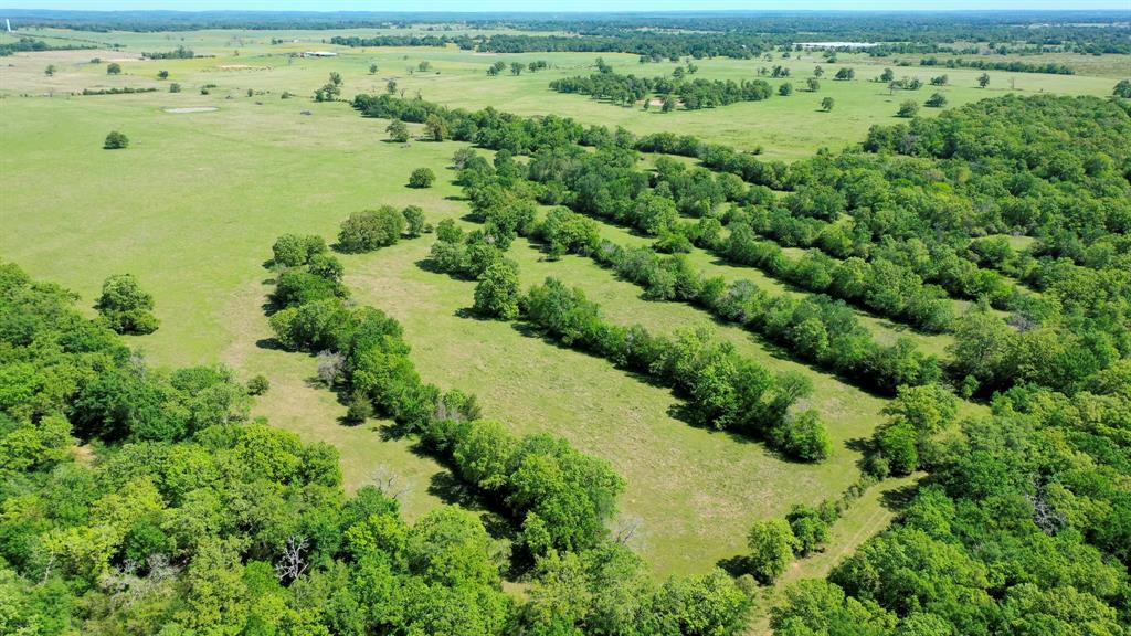 272 AC Farm To Market 977, Leona, Texas image 26