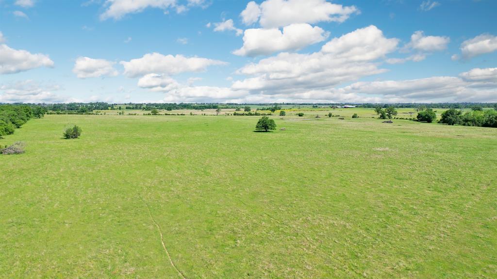 272 AC Farm To Market 977, Leona, Texas image 22
