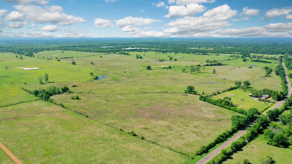 272 AC Farm To Market 977, Leona, Texas image 1