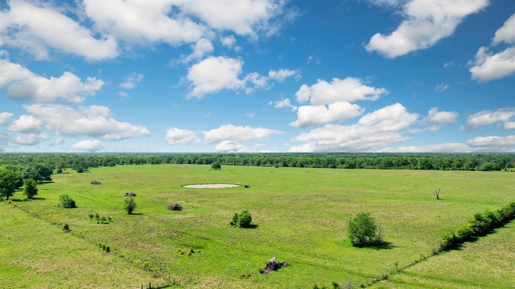 272 AC Farm To Market 977, Leona, Texas image 20