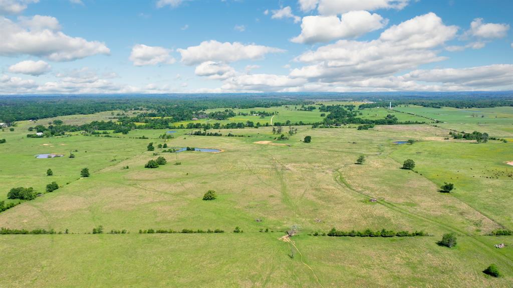 272 AC Farm To Market 977, Leona, Texas image 18