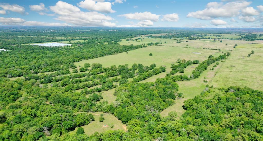 272 AC Farm To Market 977, Leona, Texas image 24