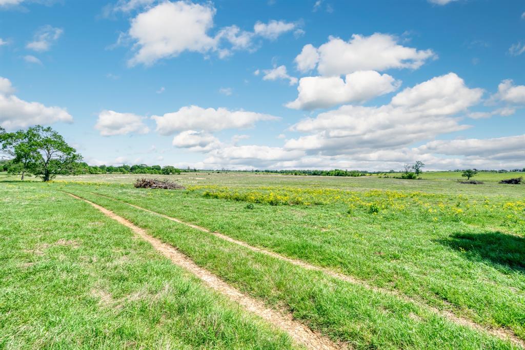 272 AC Farm To Market 977, Leona, Texas image 5