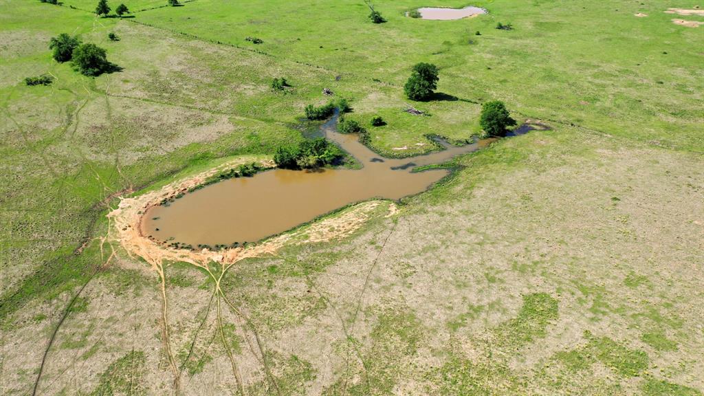 272 AC Farm To Market 977, Leona, Texas image 14