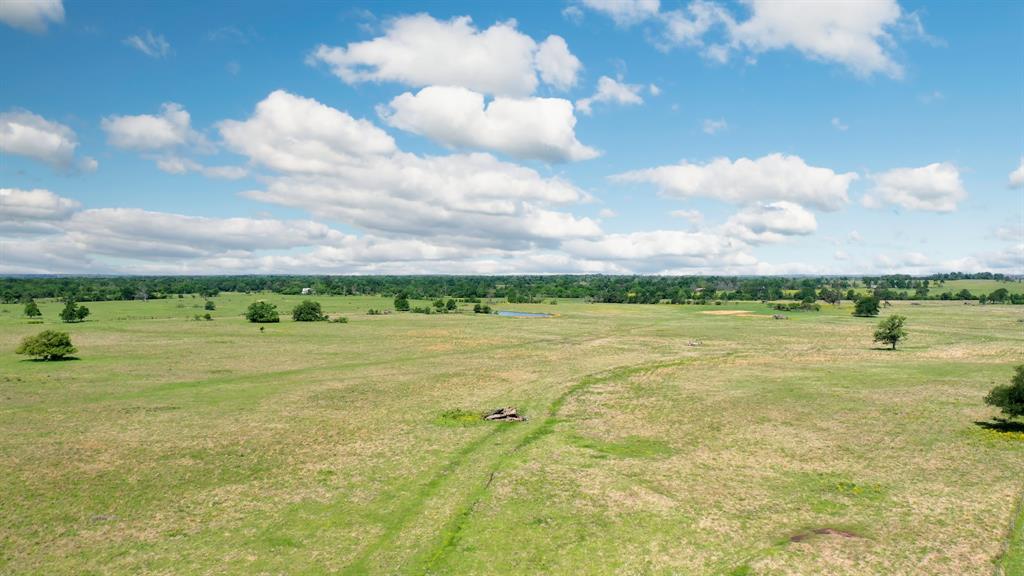 272 AC Farm To Market 977, Leona, Texas image 19